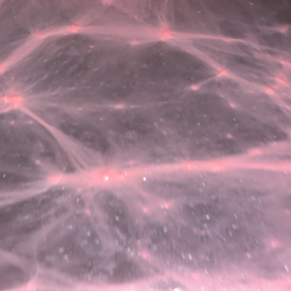 PINK LEMONADE - Picture 3 of 4